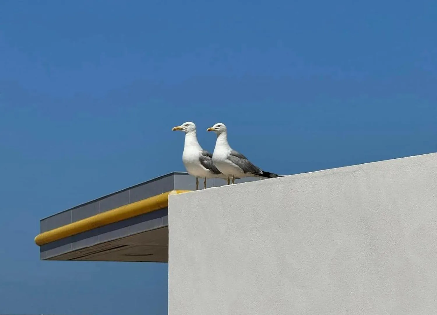 Dimora A' Muciara Hotel Favignana